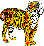 60-179620750.gif